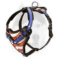 "American Patriot" adjustable leather harness for Siberian Husky "American Patriot" adjustable leather harness for Siberian Husky