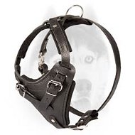 Training leather Siberian Husky harness with D-ring Training leather Siberian Husky harness with D-ring