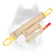 https://www.all-about-siberian-husky-dog-breed.com/images/Siberian-Husky-Jute-Bite-Tugs-Training-Set-for-Adults-SE000.jpg