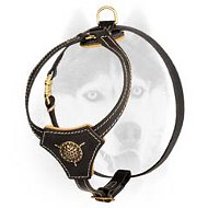 Royal Nappa padding leather harness for Siberian Husky Royal Nappa padding leather harness for Siberian Husky