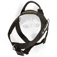 Nylon harness for Siberian Husky with ID-patches Nylon harness for Siberian Husky with ID-patches