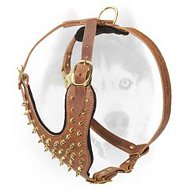 Super strong durable harness for your Siberian Husky Super strong durable harness for your Siberian Husky