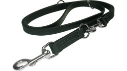 Leash training a husky best sale