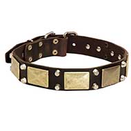 Decorated Leather Siberian Husky Collar with Brass Massive Plates and Nickel Pyramids Decorated Leather Siberian Husky Collar with Brass Massive Plates and Nickel Pyramids