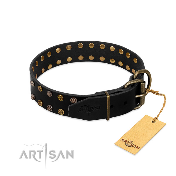 Natural leather collar with inimitable studs for your four-legged friend