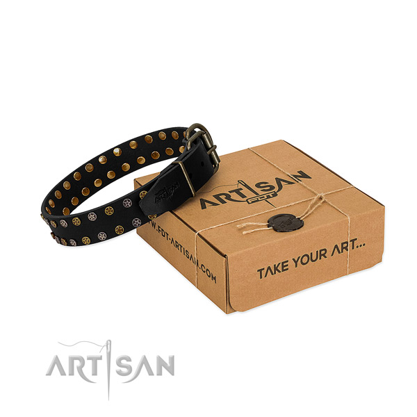 Full grain leather collar with stylish studs for your four-legged friend