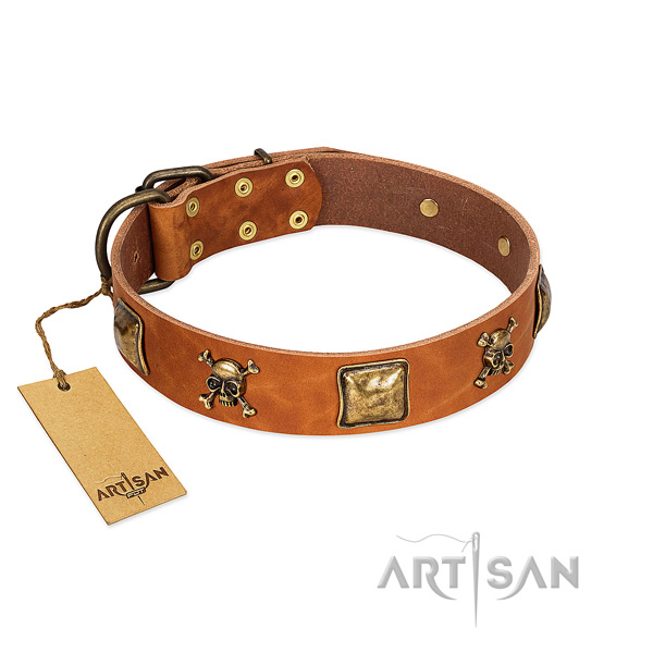 Awesome full grain natural leather dog collar with rust resistant adornments