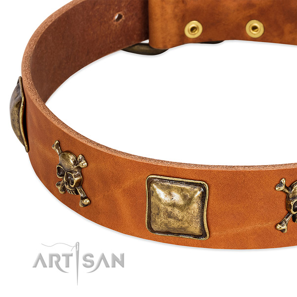 Stylish adornments on genuine leather collar for your dog