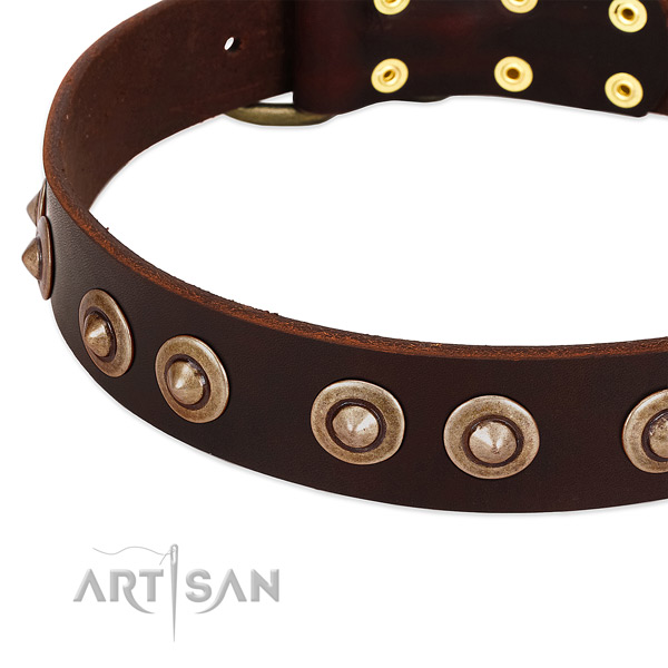 Corrosion resistant fittings on full grain leather dog collar for your canine