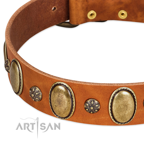 Walking high quality full grain genuine leather dog collar