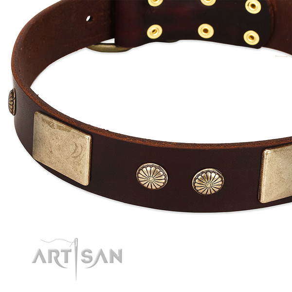Corrosion proof hardware on full grain leather dog collar for your dog