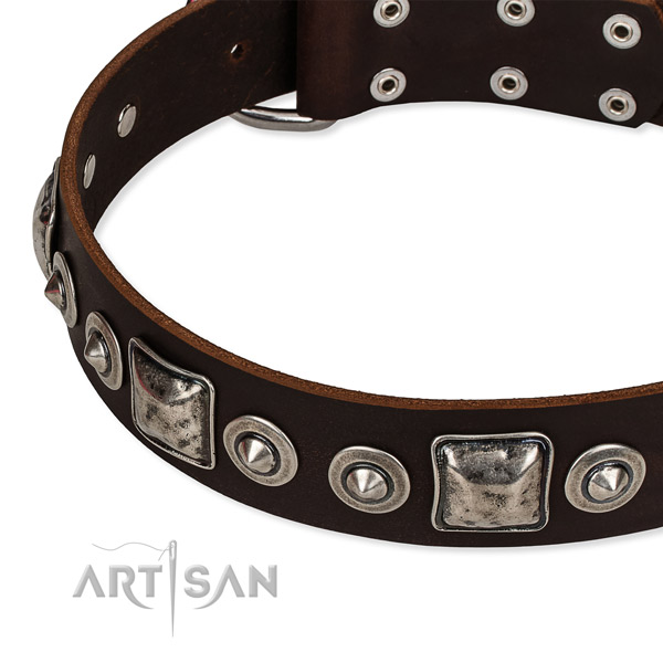 Top notch full grain leather dog collar made for your handsome doggie