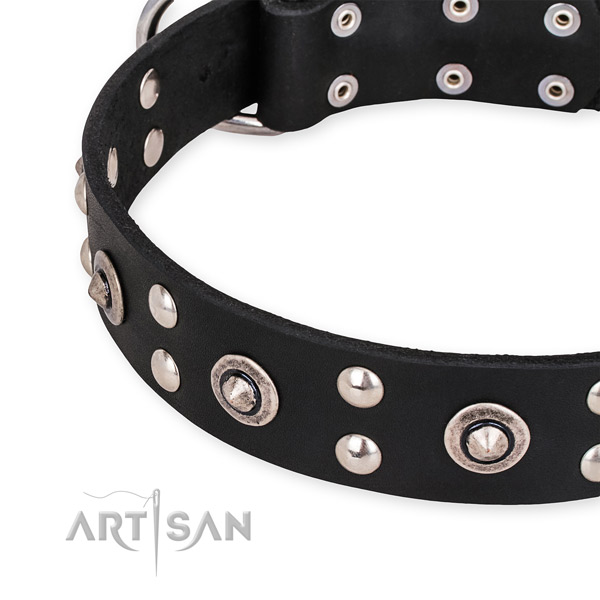 Full grain leather collar with corrosion proof fittings for your impressive canine