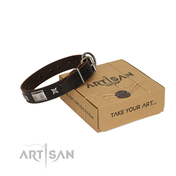 Stylish collar of full grain leather for your beautiful dog