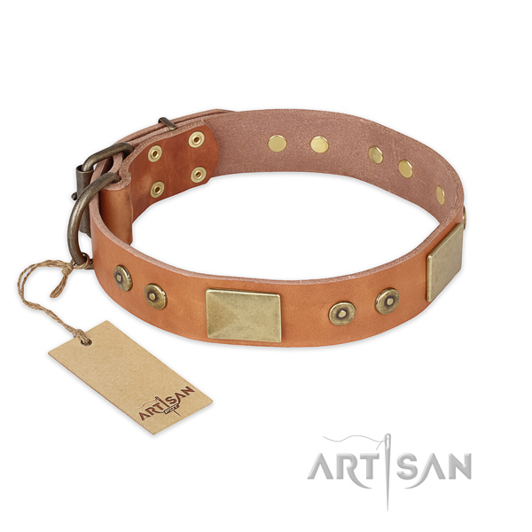 Trendy full grain leather dog collar for everyday walking