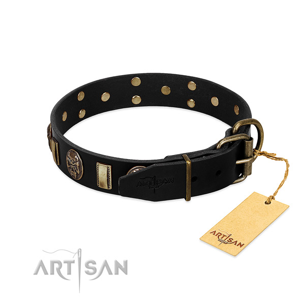 Full grain natural leather dog collar with reliable traditional buckle and adornments