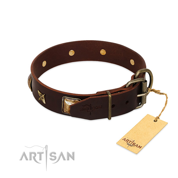 Full grain natural leather dog collar with rust resistant fittings and studs
