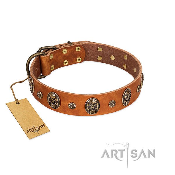 Extraordinary full grain natural leather collar for your four-legged friend