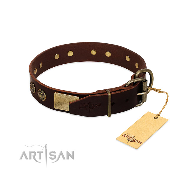 Corrosion proof decorations on full grain genuine leather dog collar for your dog