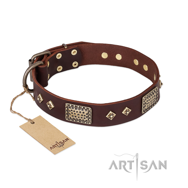 Fine quality full grain natural leather dog collar for everyday use