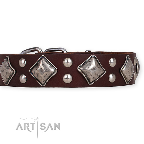 Full grain natural leather dog collar with awesome corrosion proof embellishments