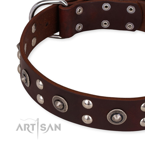 Genuine leather collar with strong fittings for your attractive dog