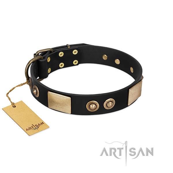Adjustable genuine leather dog collar for walking your dog