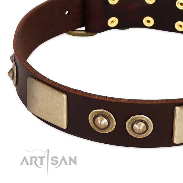 Corrosion proof D-ring on full grain genuine leather dog collar for your canine