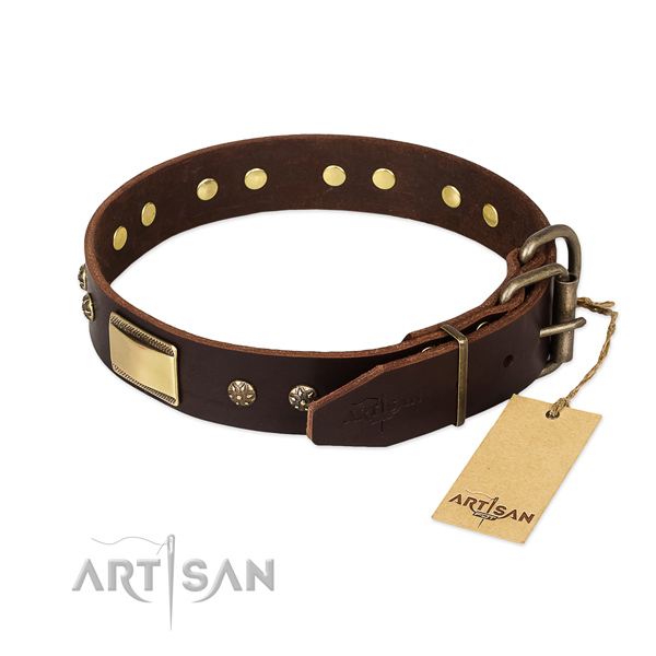 Embellished genuine leather collar for your four-legged friend