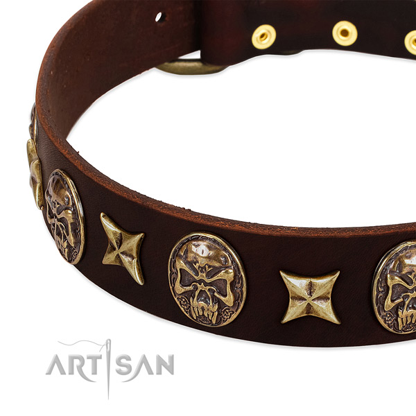 Corrosion resistant adornments on leather dog collar for your dog