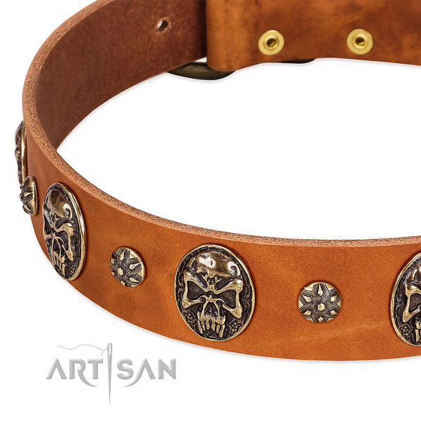 Corrosion proof adornments on full grain natural leather dog collar for your pet