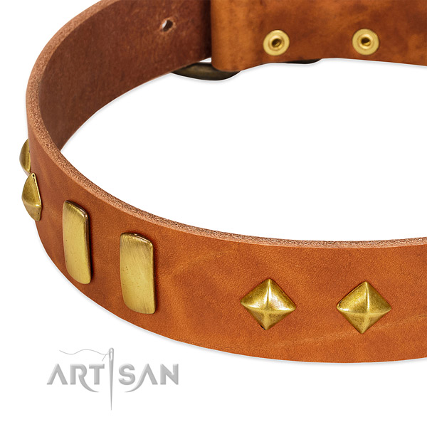 Handy use leather dog collar with unusual embellishments