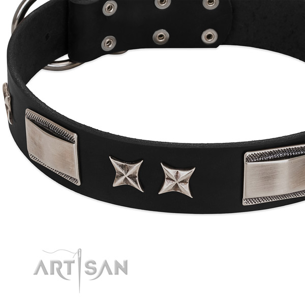Reliable full grain natural leather dog collar with strong fittings