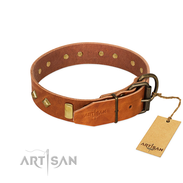Fancy walking leather dog collar with top notch adornments