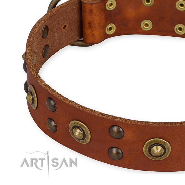 Full grain natural leather collar with corrosion proof hardware for your stylish canine