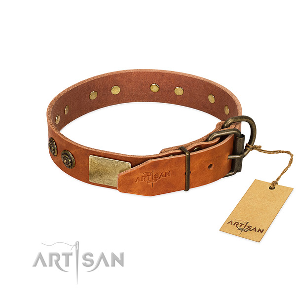 Corrosion proof traditional buckle on full grain leather collar for fancy walking your four-legged friend