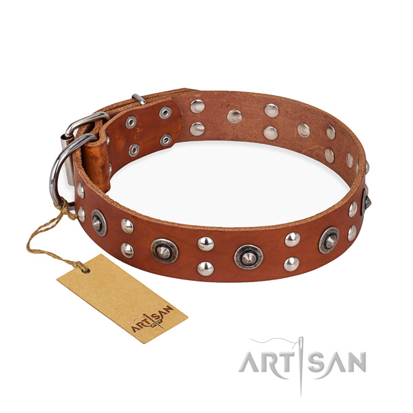 Comfortable wearing amazing dog collar with corrosion proof fittings