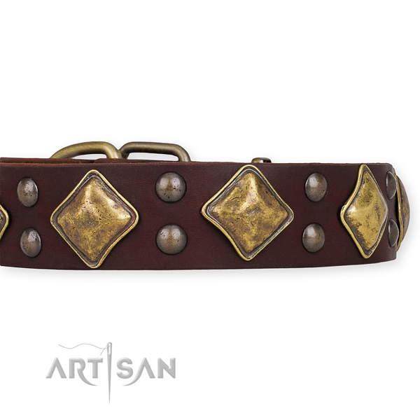 Full grain leather dog collar with exquisite durable decorations