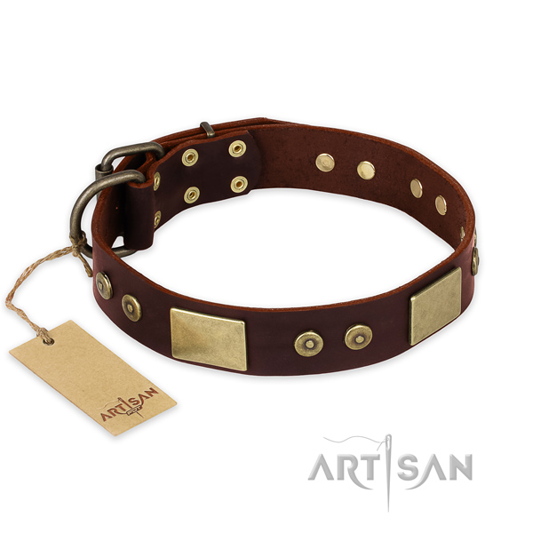 Exceptional full grain natural leather dog collar for walking