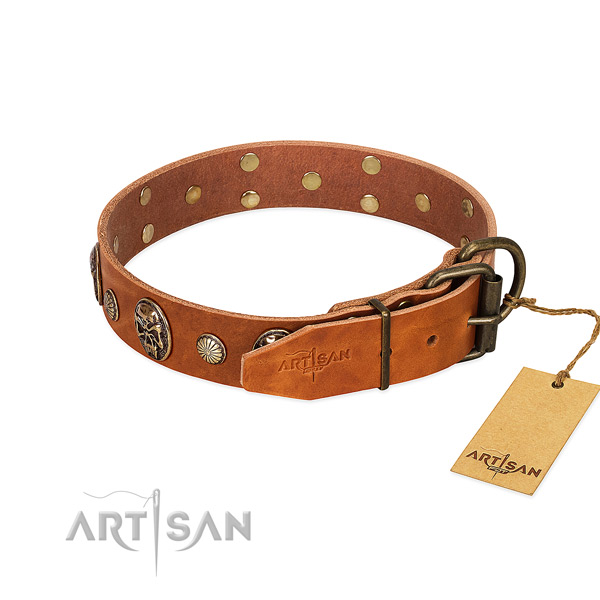 Rust resistant traditional buckle on full grain leather collar for everyday walking your doggie