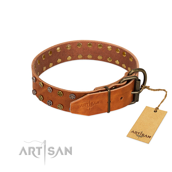 Fancy walking full grain natural leather dog collar with amazing embellishments