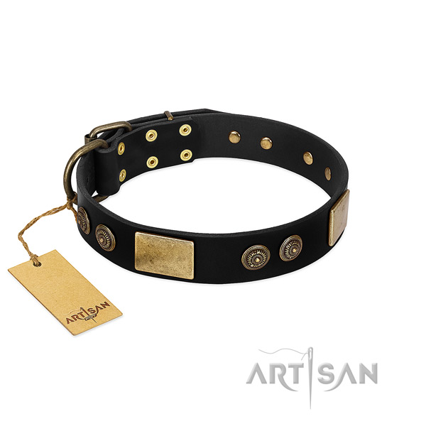 Durable adornments on leather dog collar for your dog