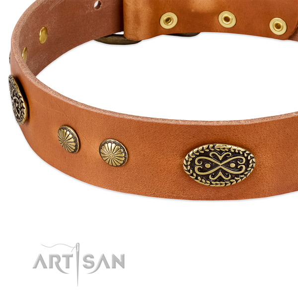 Corrosion resistant studs on leather dog collar for your four-legged friend