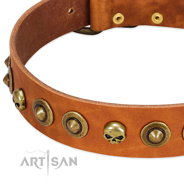Inimitable adornments on natural leather collar for your dog