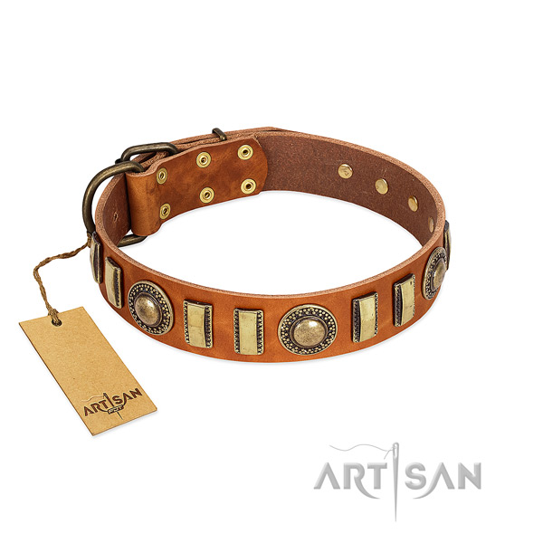 Best quality natural leather dog collar with strong fittings