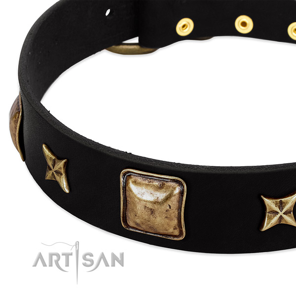 Full grain leather dog collar with impressive decorations