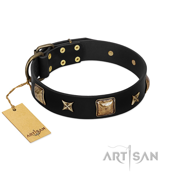 Full grain leather dog collar of top rate material with fashionable adornments