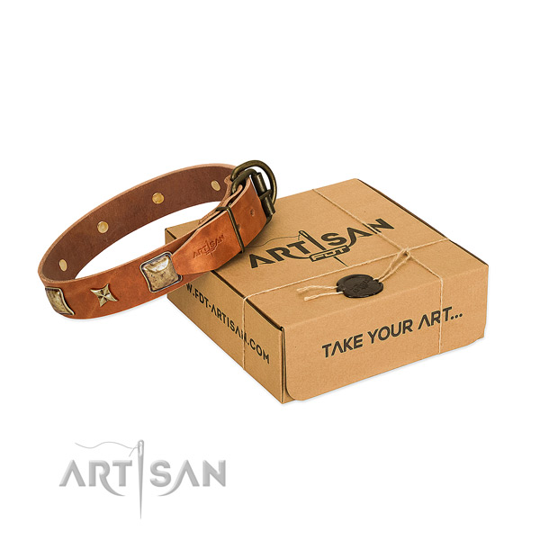 Handcrafted leather collar for your attractive four-legged friend