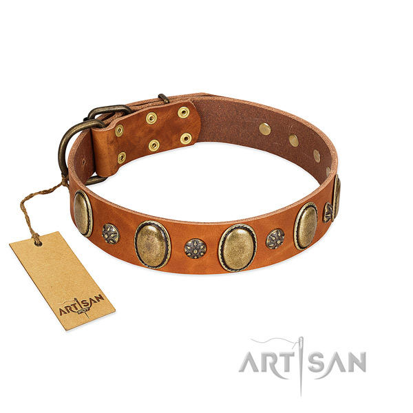 Everyday walking soft to touch genuine leather dog collar with adornments