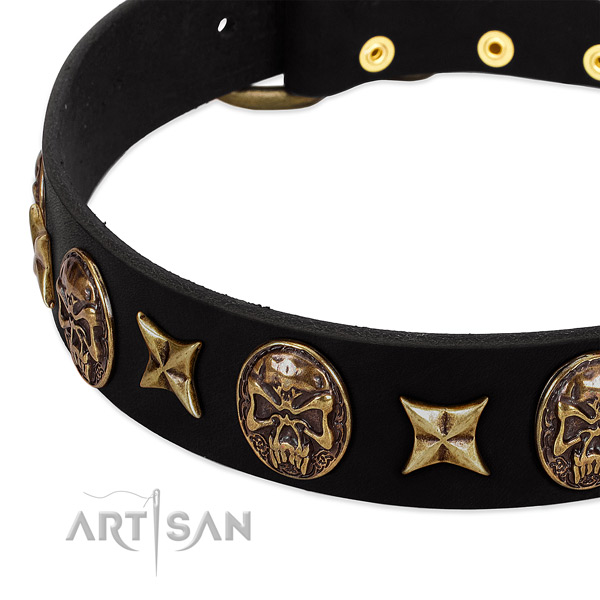 Corrosion proof decorations on full grain leather dog collar for your four-legged friend